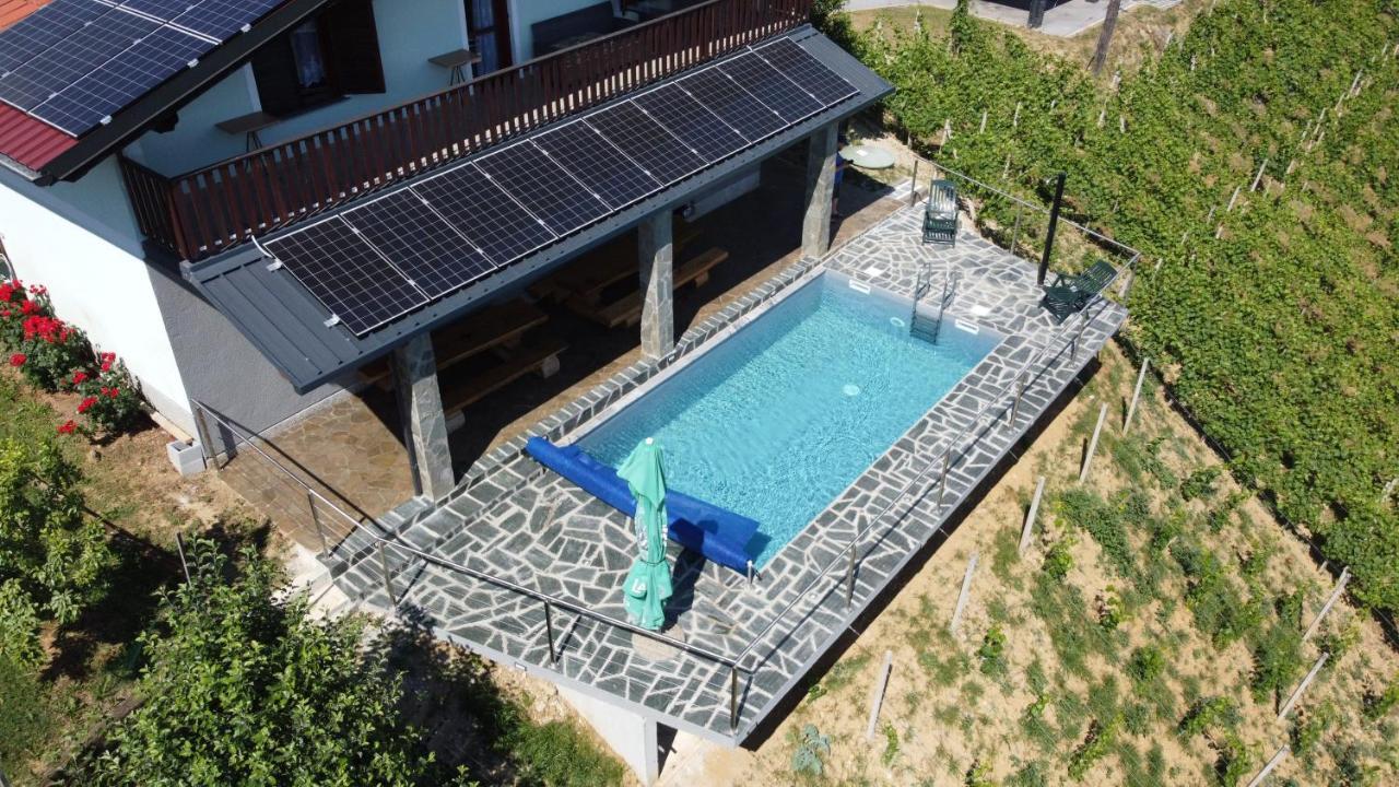 Vineyard Paradise Senica Dramlje Zewnętrze zdjęcie