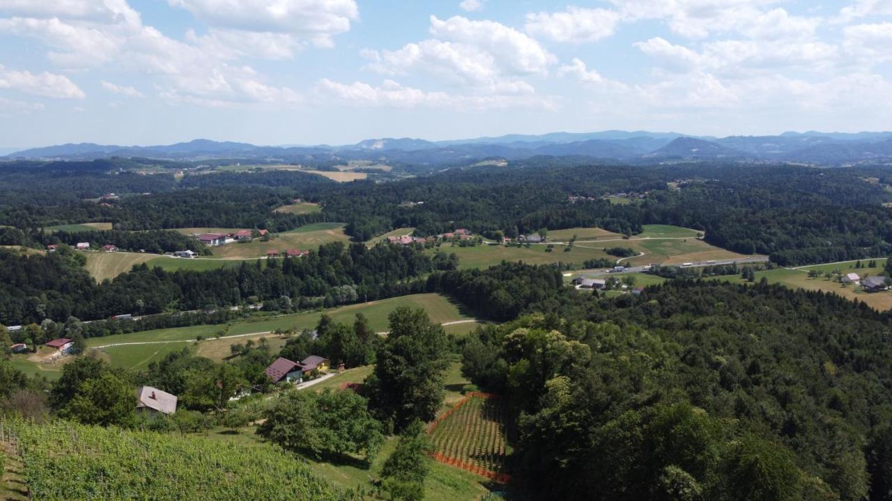 Pensjonat Vineyard Paradise Senica Dramlje Zewnętrze zdjęcie