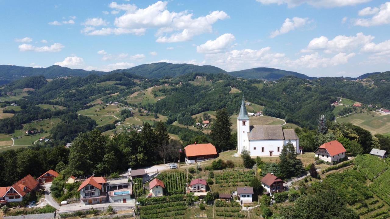 Pensjonat Vineyard Paradise Senica Dramlje Zewnętrze zdjęcie