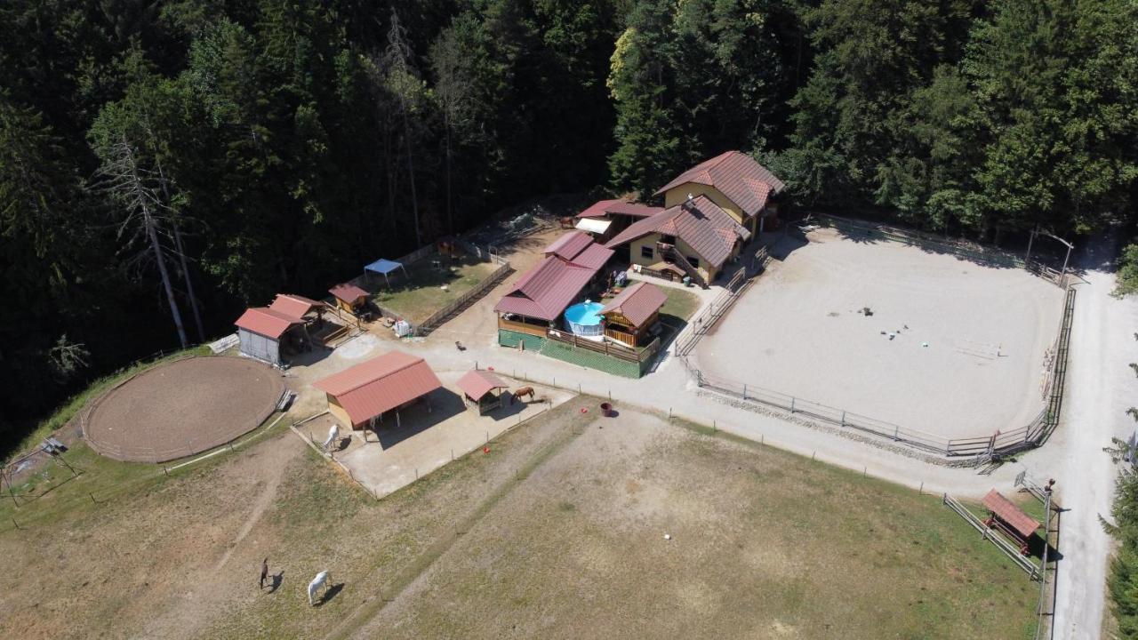Vineyard Paradise Senica Dramlje Zewnętrze zdjęcie