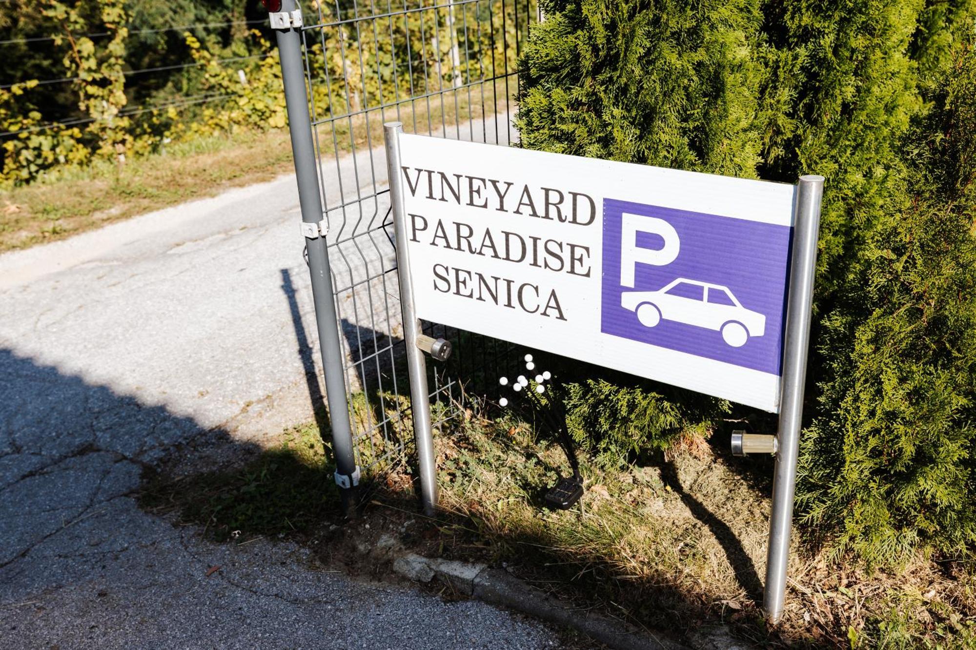 Pensjonat Vineyard Paradise Senica Dramlje Zewnętrze zdjęcie