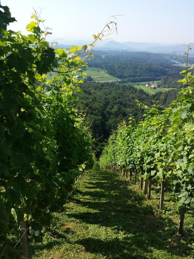 Pensjonat Vineyard Paradise Senica Dramlje Zewnętrze zdjęcie